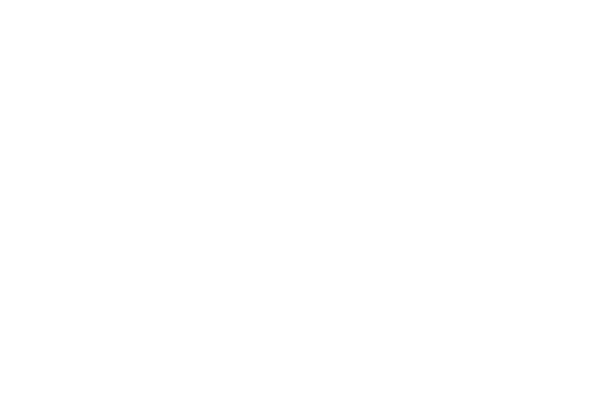 DSVisuel